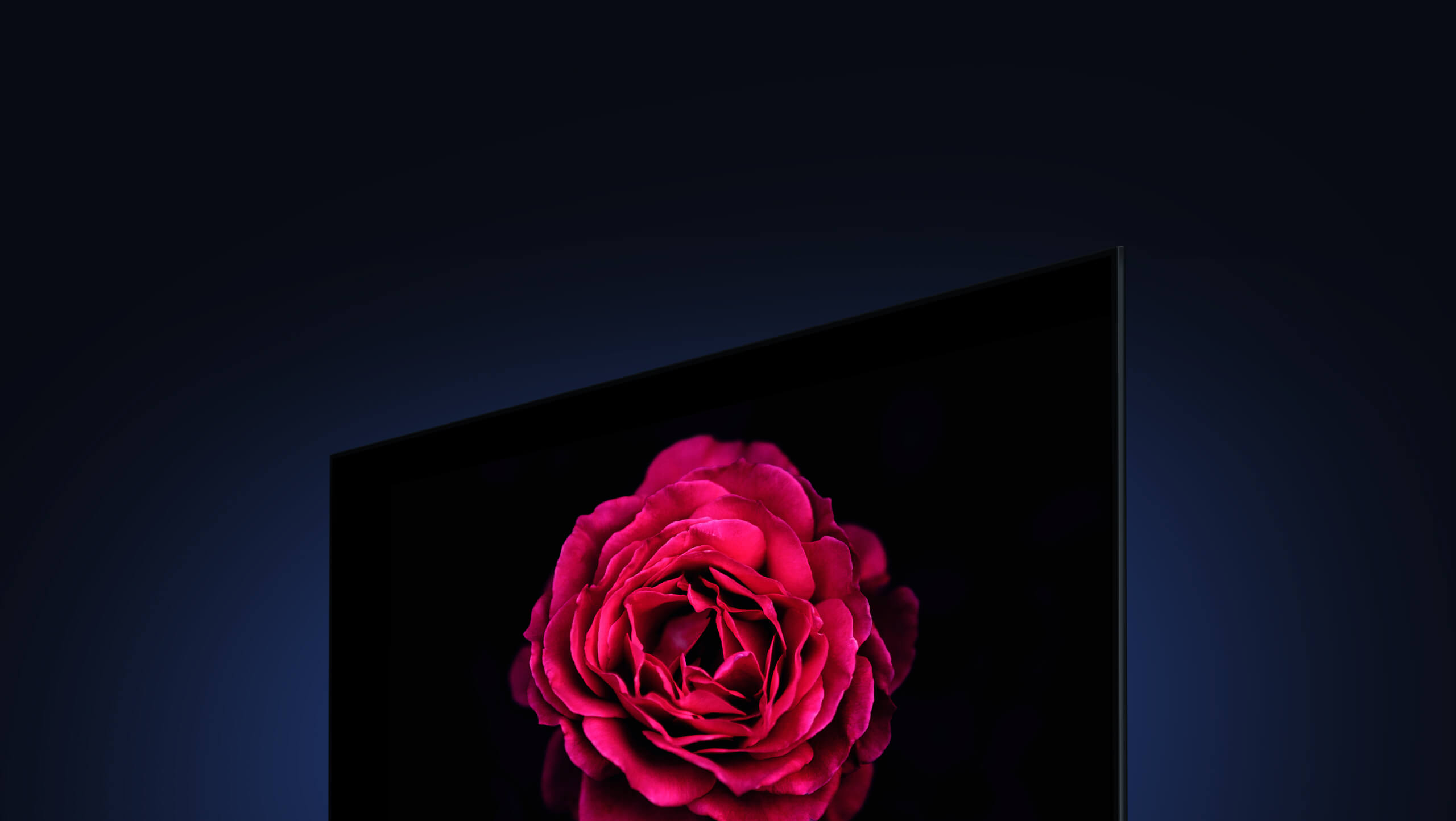 Телевизор Xiaomi Mi TV Full Screen 43" (E43A)